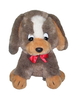 Hund Nicky 